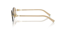 Tiffany & Co. TF 3104D Occhiali da sole 617811