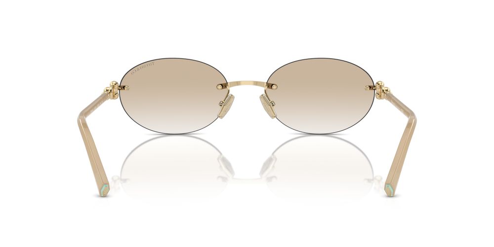 Tiffany & Co. TF 3104D Occhiali da sole 617811