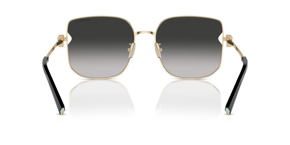 Tiffany & Co. TF 3105D Occhiali da sole 6021S4