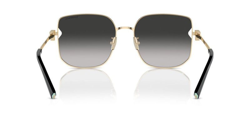 Tiffany & Co. TF 3105D Occhiali da sole 6021S4