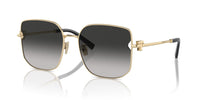 Tiffany & Co. TF 3105D Occhiali da sole 6021S4