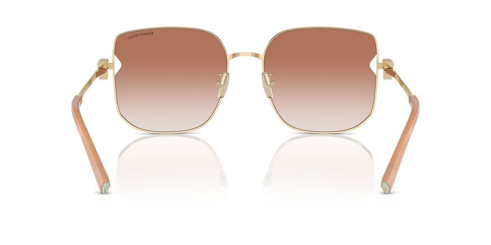 Tiffany & Co. TF 3105D Occhiali da sole 616113