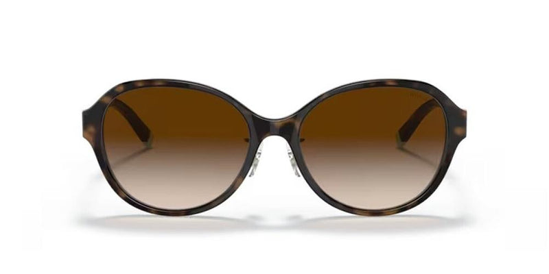 Tiffany & Co. TF 4181D Occhiali da sole 81343B