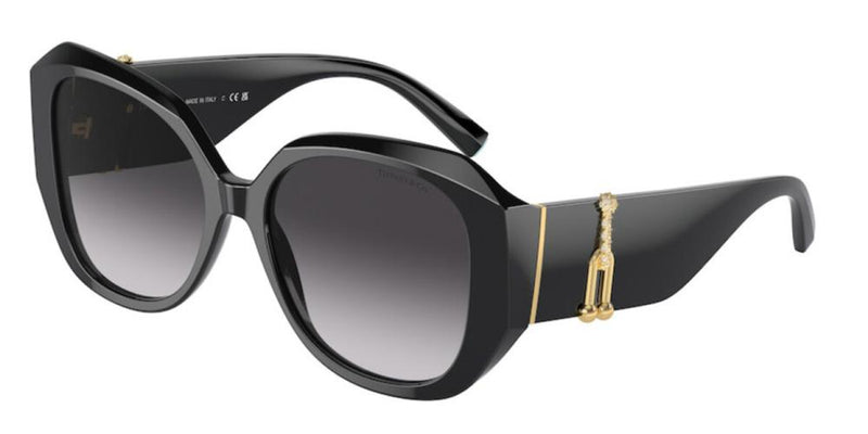 Tiffany & Co. TF 4207B Occhiali da sole 80013C