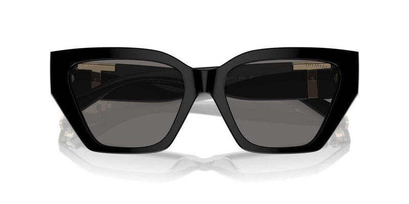 Tiffany & Co. TF 4218 Occhiali da sole 800181
