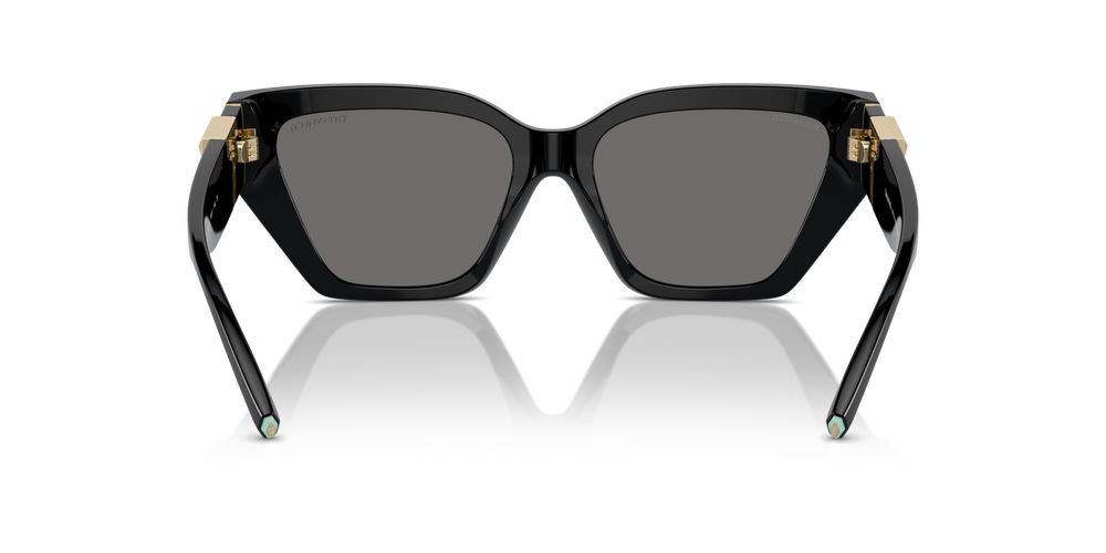 Tiffany & Co. TF 4218 Occhiali da sole 800181
