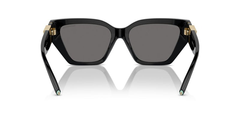 Tiffany & Co. TF 4218 Occhiali da sole 800181