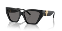 Tiffany & Co. TF 4218 Occhiali da sole 800181