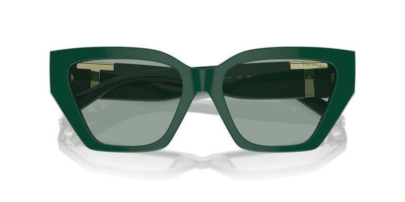 Tiffany & Co. TF 4218 Occhiali da sole 840882