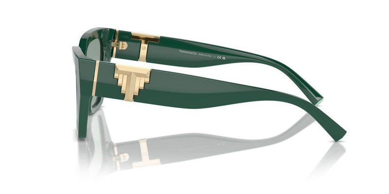 Tiffany & Co. TF 4218 Occhiali da sole 840882