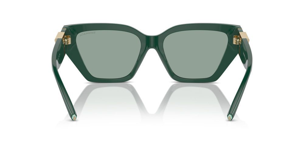 Tiffany & Co. TF 4218 Occhiali da sole 840882