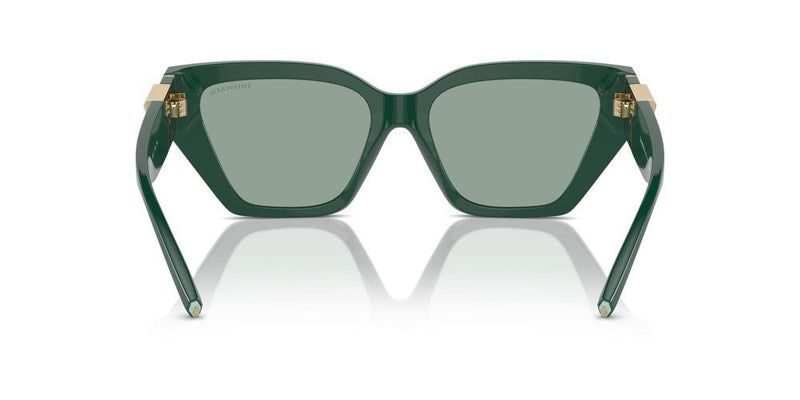 Tiffany & Co. TF 4218 Occhiali da sole 840882