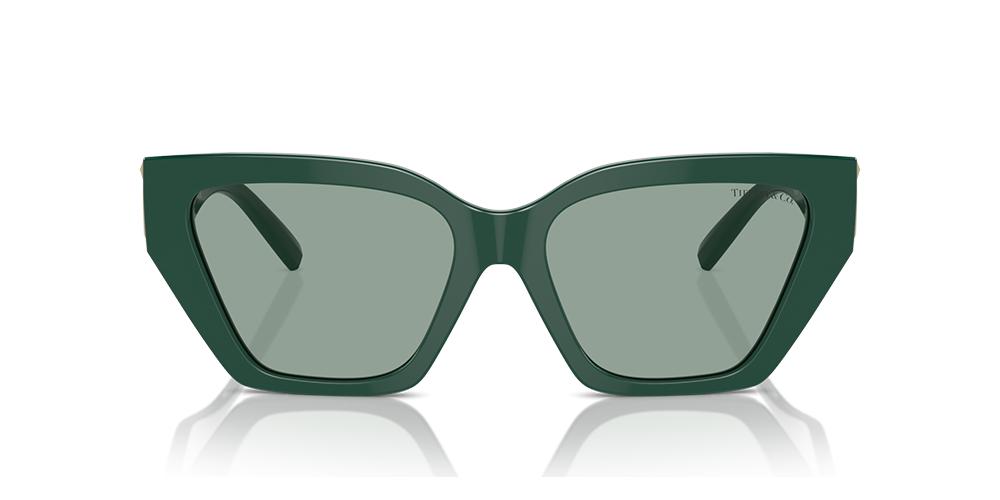 Tiffany & Co. TF 4218 Occhiali da sole 840882