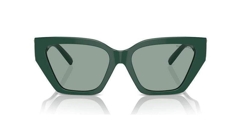 Tiffany & Co. TF 4218 Occhiali da sole 840882