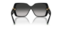 Tiffany & Co. TF 4219 Occhiali da sole 80013C