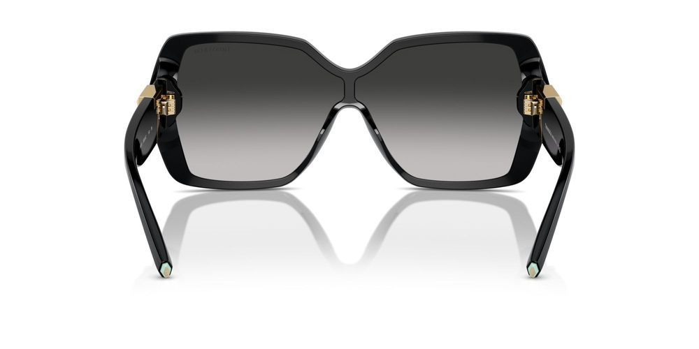 Tiffany & Co. TF 4219 Occhiali da sole 80013C