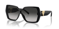 Tiffany & Co. TF 4219 Occhiali da sole 80013C
