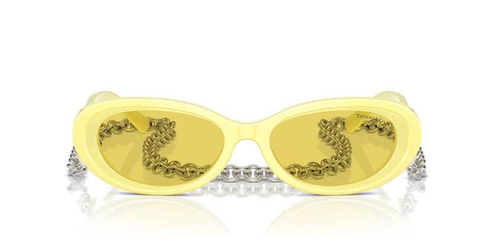 Tiffany & Co. TF 4221 Occhiali da sole 841285