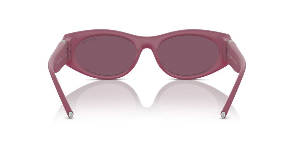 Tiffany & Co. TF 4222U Occhiali da sole 8416AK