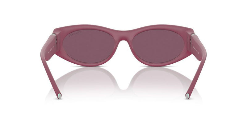 Tiffany & Co. TF 4222U Occhiali da sole 8416AK