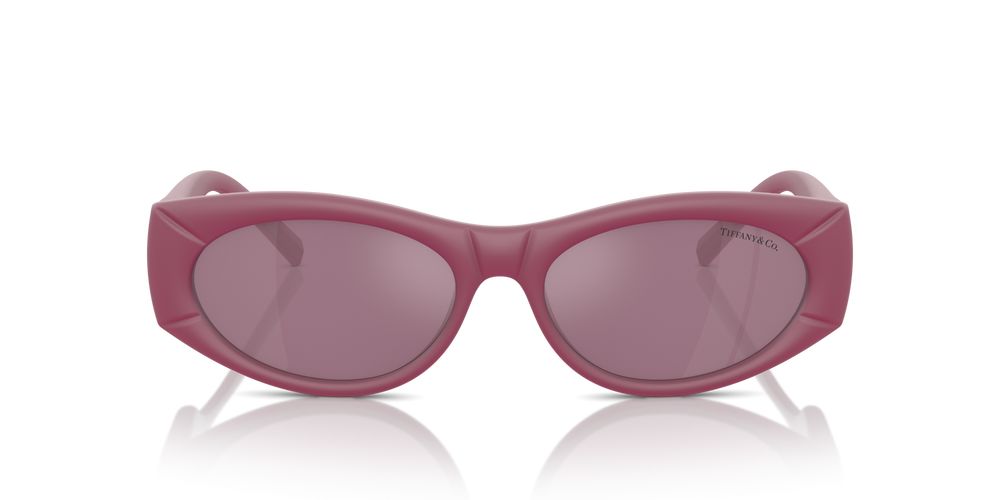 Tiffany & Co. TF 4222U Occhiali da sole 8416AK