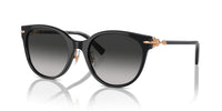 Tiffany & Co. TF 4223D Occhiali da sole 80013C
