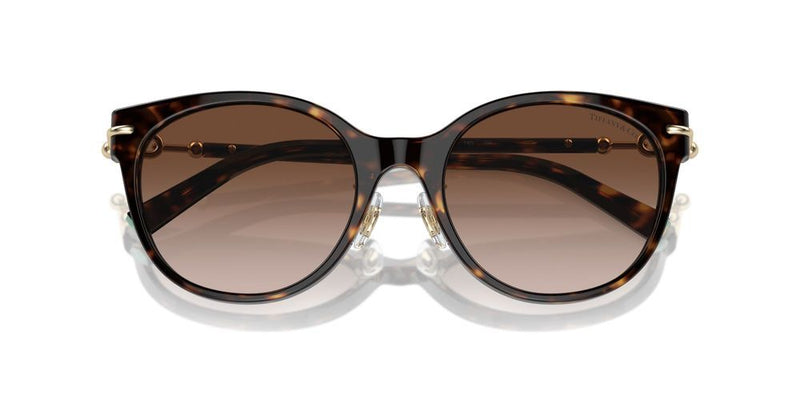 Tiffany & Co. TF 4223D Occhiali da sole 80153B