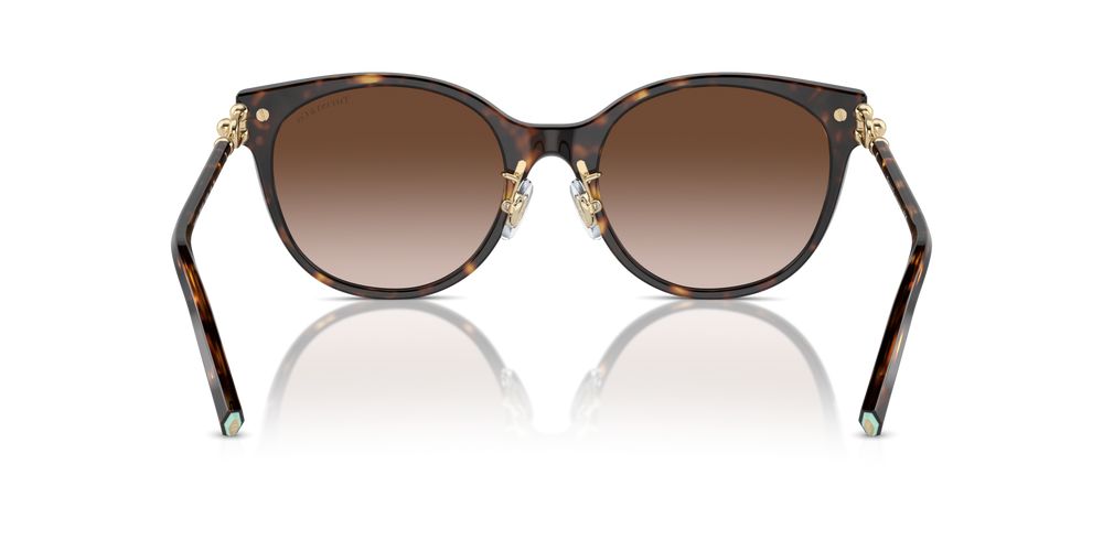 Tiffany & Co. TF 4223D Occhiali da sole 80153B