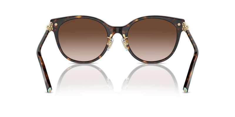 Tiffany & Co. TF 4223D Occhiali da sole 80153B