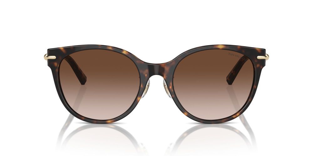 Tiffany & Co. TF 4223D Occhiali da sole 80153B