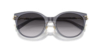 Tiffany & Co. TF 4223D Occhiali da sole 84053C