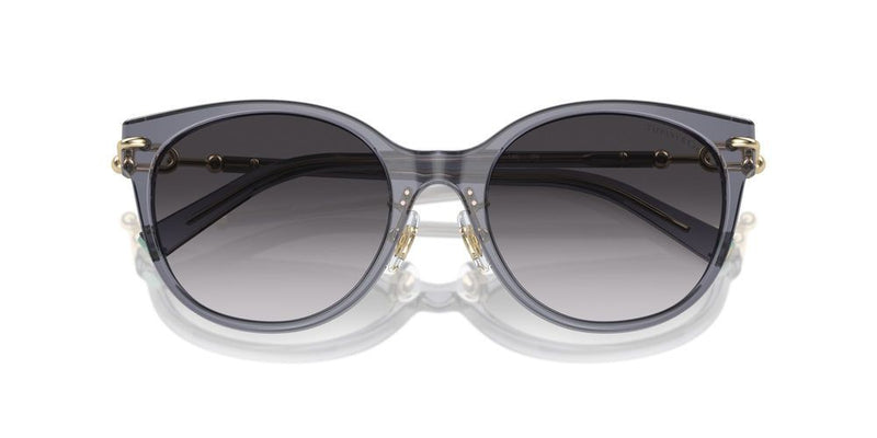 Tiffany & Co. TF 4223D Occhiali da sole 84053C