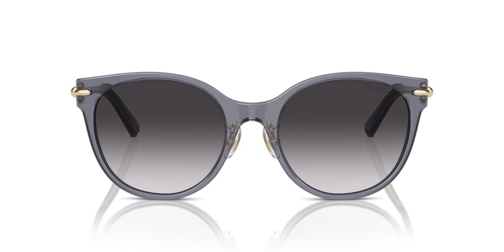Tiffany & Co. TF 4223D Occhiali da sole 84053C