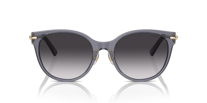 Tiffany & Co. TF 4223D Occhiali da sole 84053C