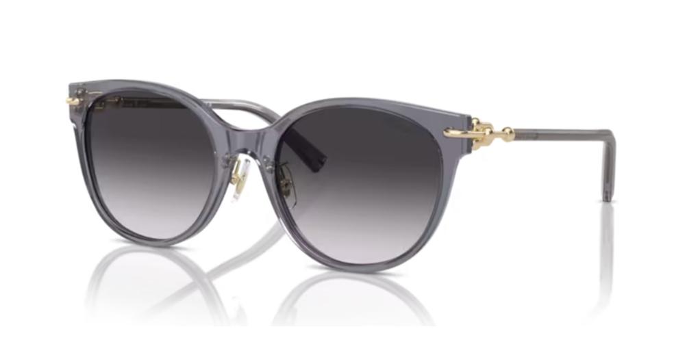Tiffany & Co. TF 4223D Occhiali da sole 84053C
