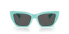Tiffany & Co. TF 4230 Occhiali da sole 8388S4
