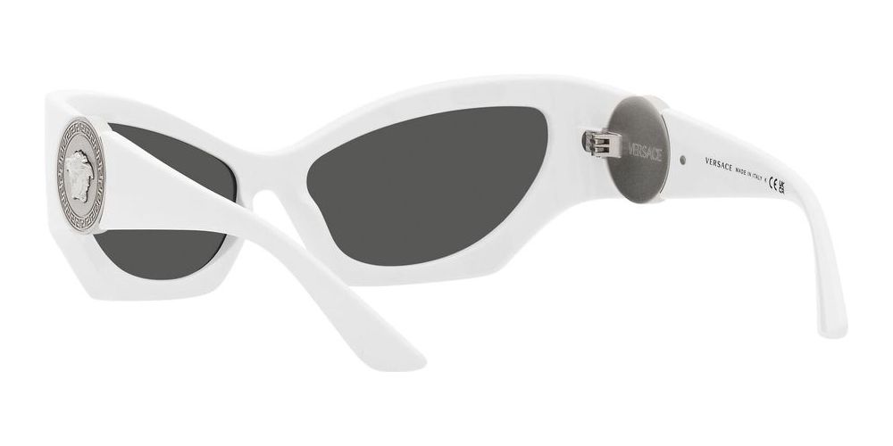 Versace VE 4450 Occhiali da sole 314/87