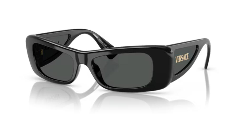 Versace VE 4481 Occhiali da sole GB1/87