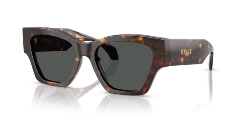 Versace VE 4492U Occhiali da sole 108/87