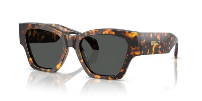 Versace VE 4492U Occhiali da sole 551487