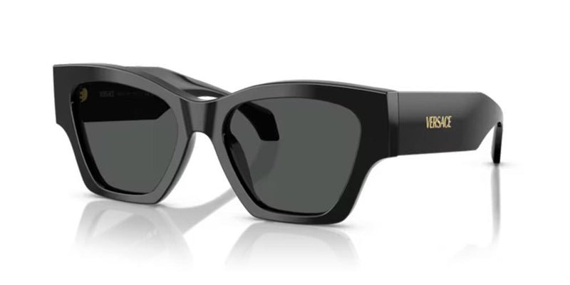 Versace VE 4492U Occhiali da sole GB1/87