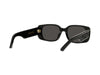 DIOR Wildior S2U Occhiali da sole 10A0