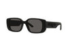 DIOR Wildior S2U Occhiali da sole 10A0