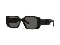 DIOR Wildior S2U Occhiali da sole 10A0