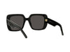 DIOR Wildior S3U Occhiali da sole 10A0