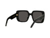 DIOR Wildior S3U Occhiali da sole 10A0
