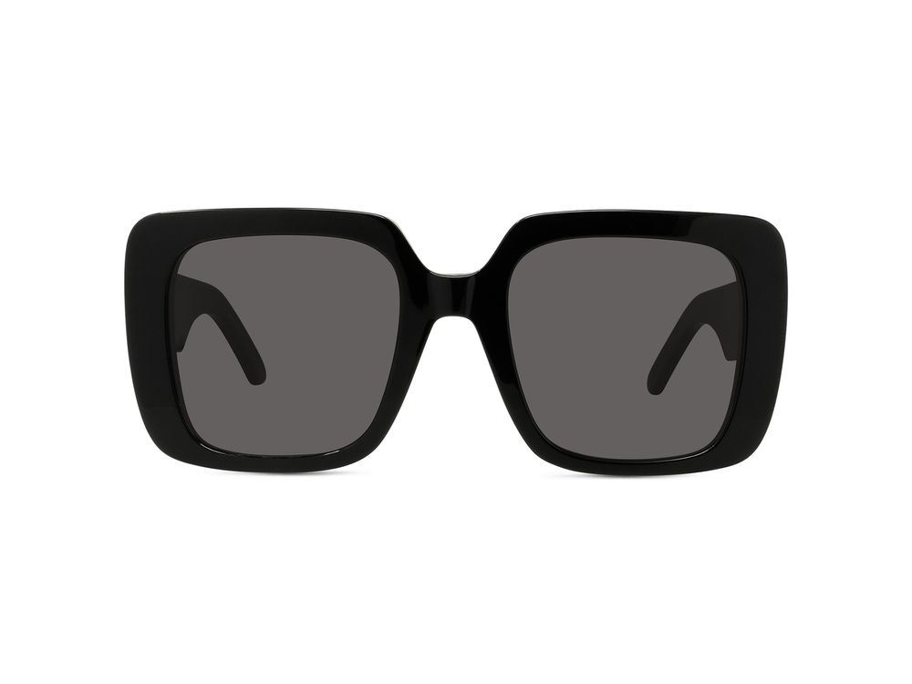 DIOR Wildior S3U Occhiali da sole 10A0