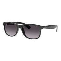 ANDY RB 4202