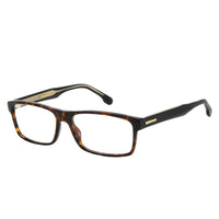 CARRERA 293
