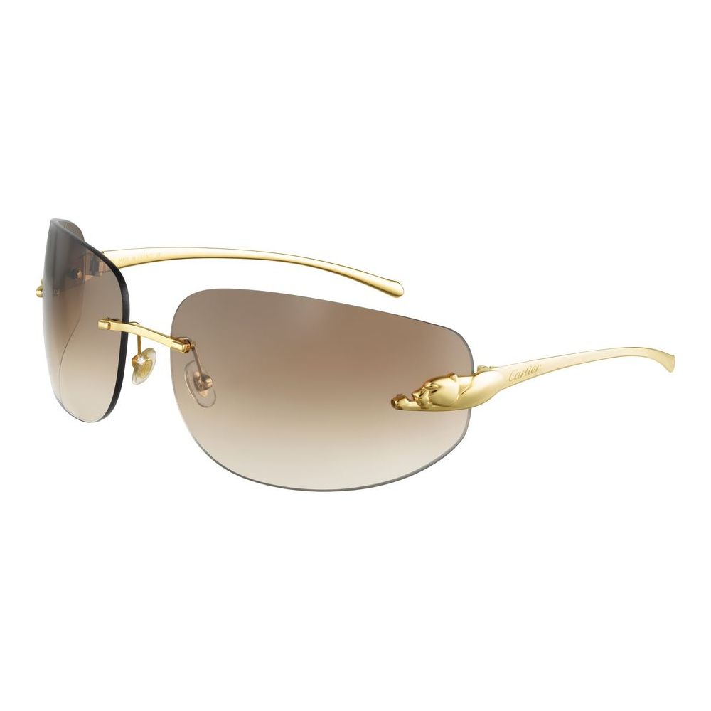 CT0062S
